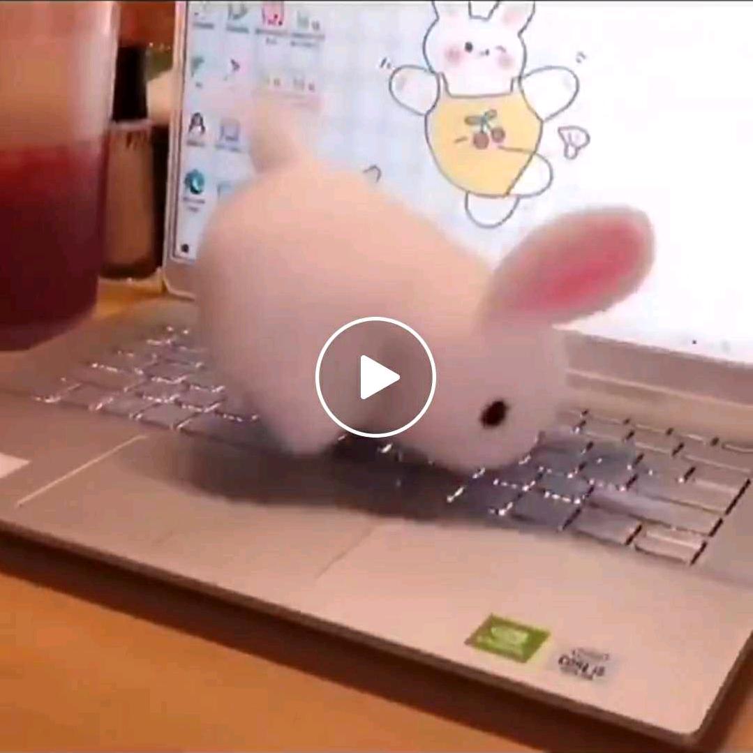 兵哥哥