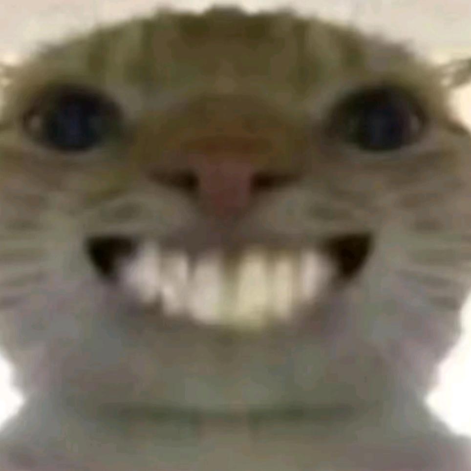 芬达猹（三角洲行动）