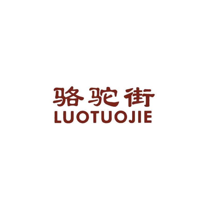 骆驼街远山户外