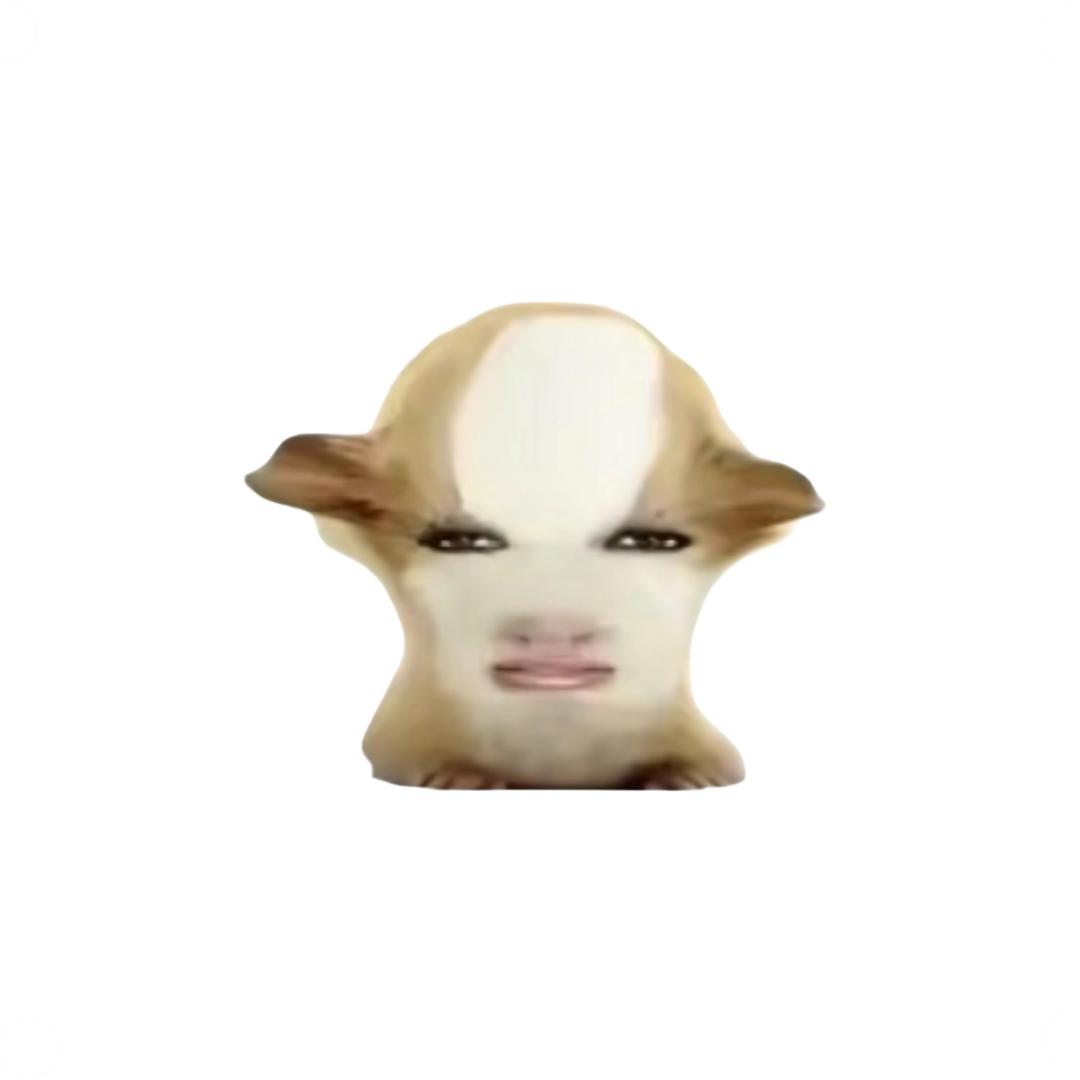 猪精下凡