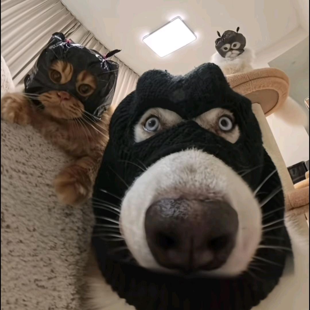 丁　k（小摩托大能量）