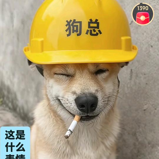 平平无奇