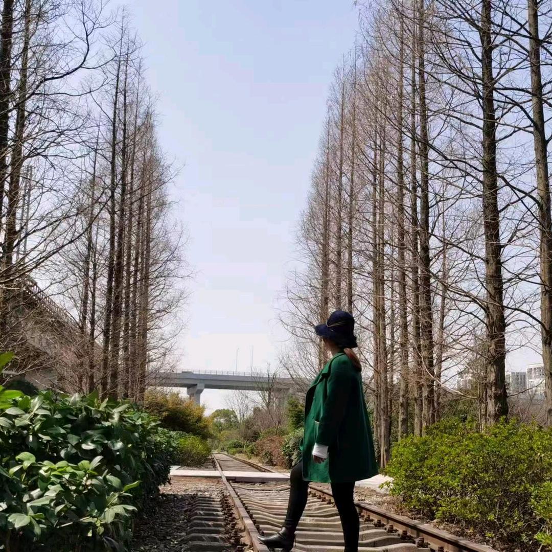 愤怒的小鸟