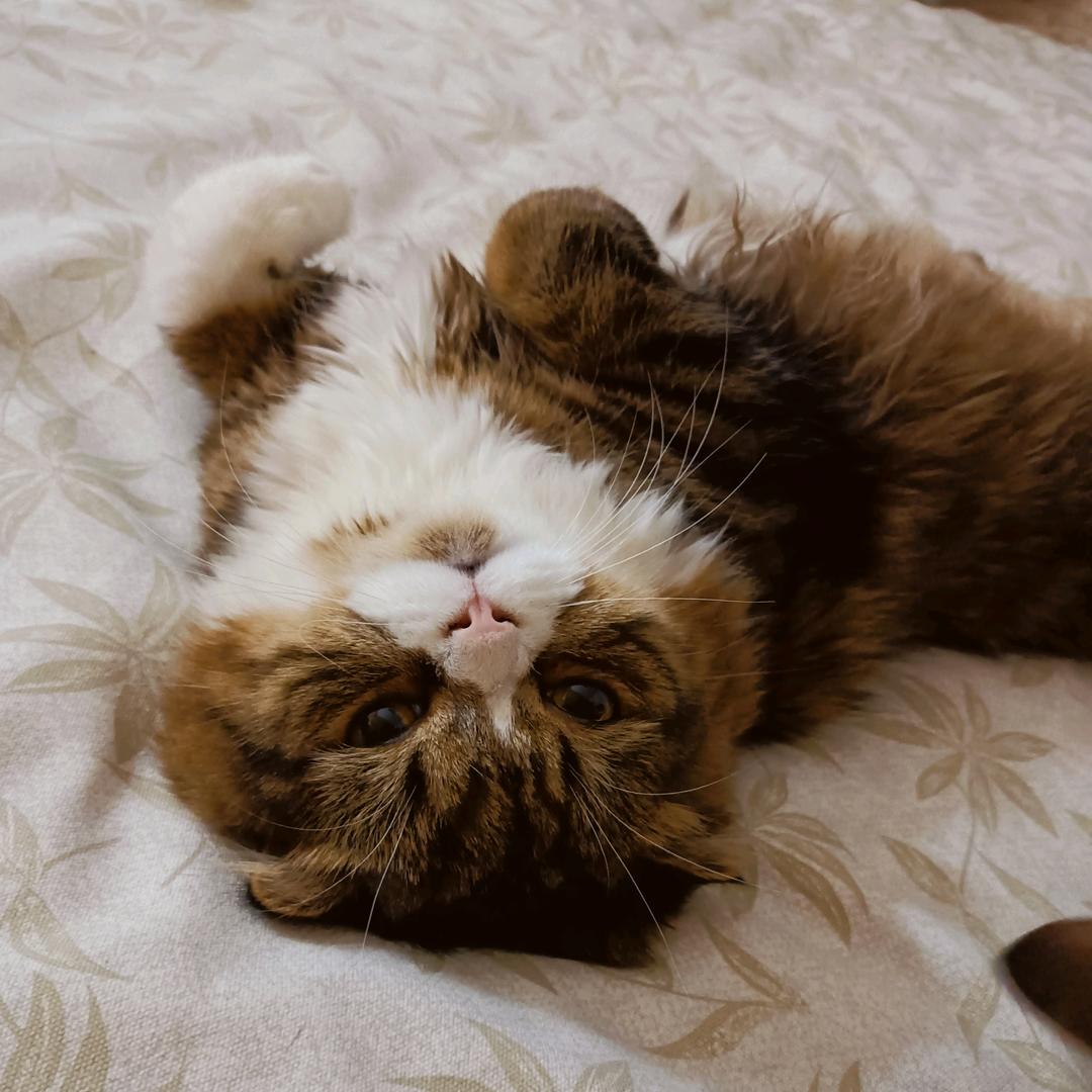 妮宝吖💕