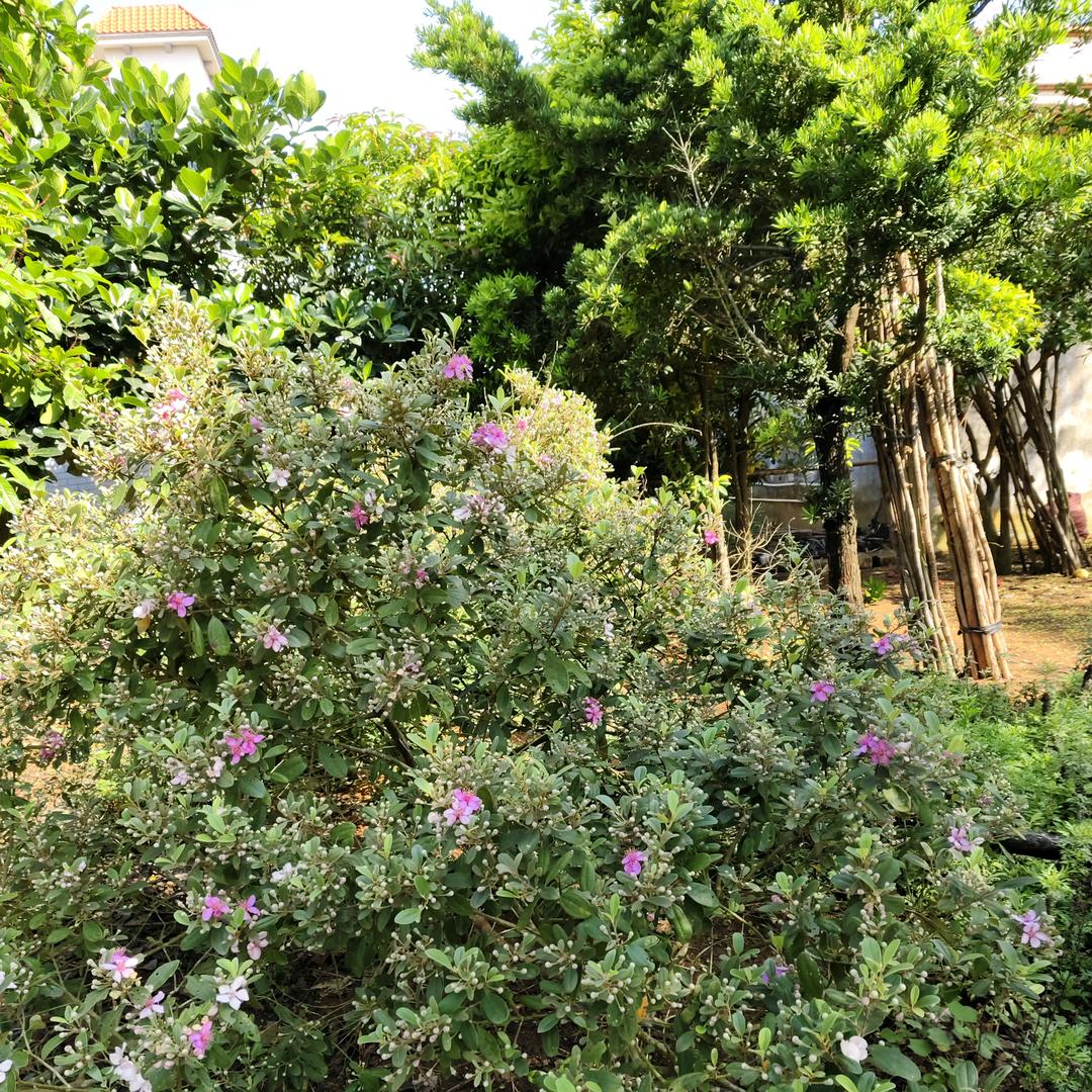 时来运转，福气满满