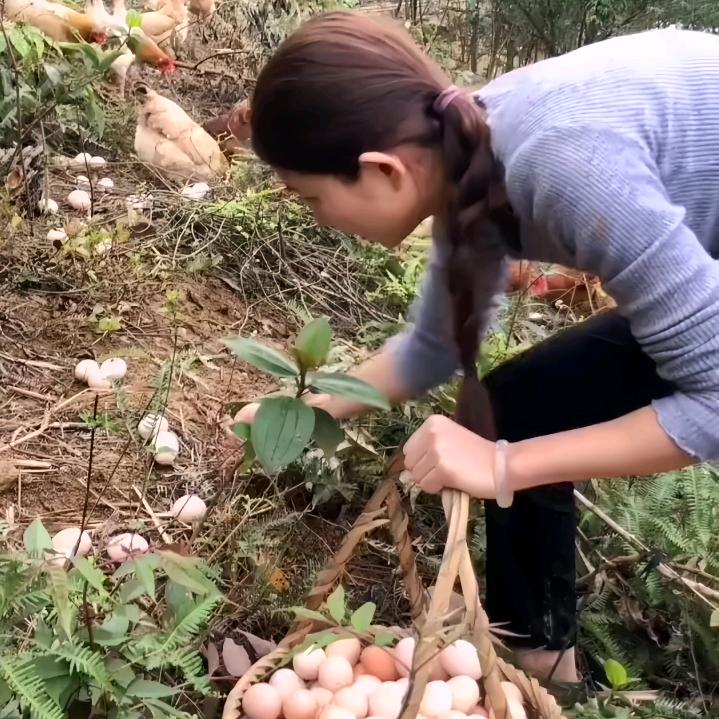 悠姐爱养殖