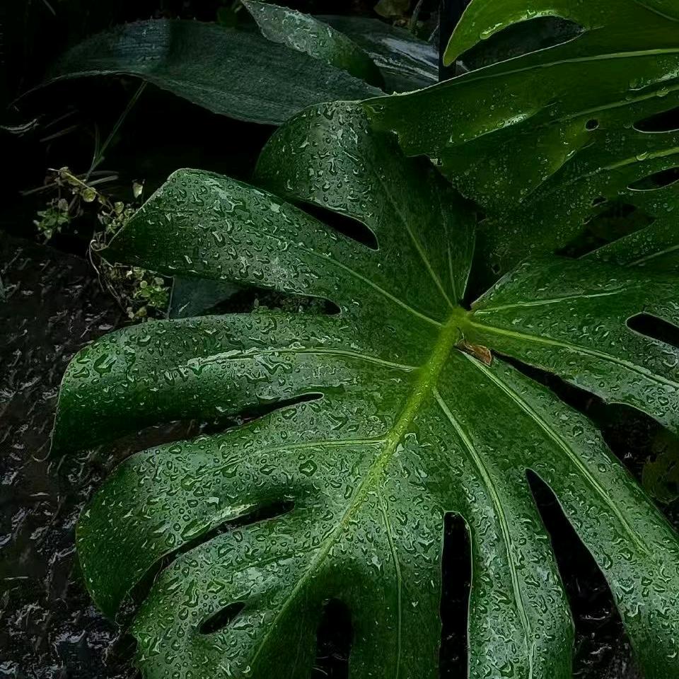 三番五次
