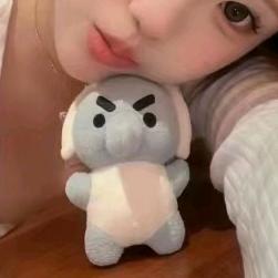 小新㳄（向阳而生🌻）（思念版）