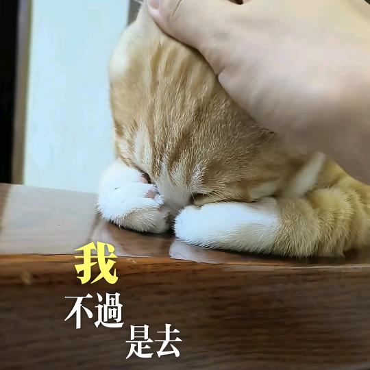 珊瑚纺织