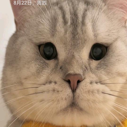 容