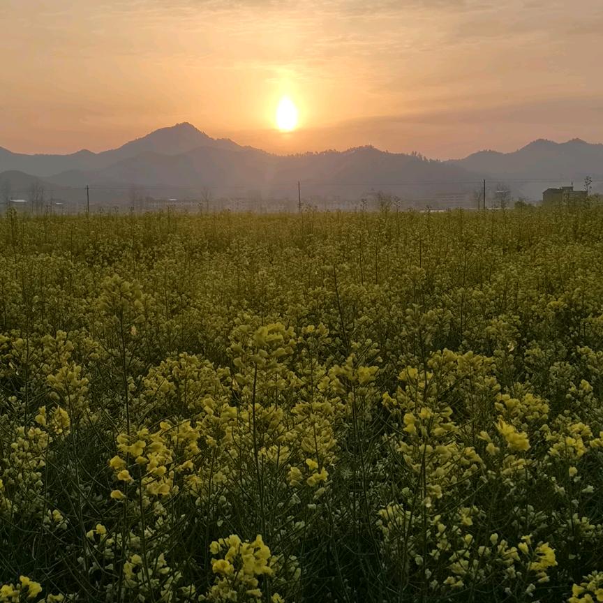 周，望仙谷景区