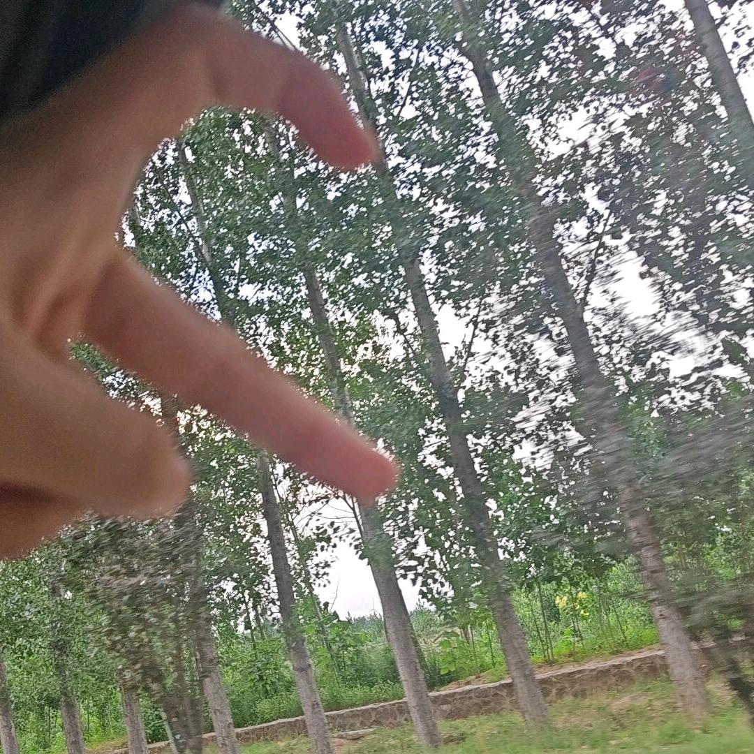 刘大范❤️❤️