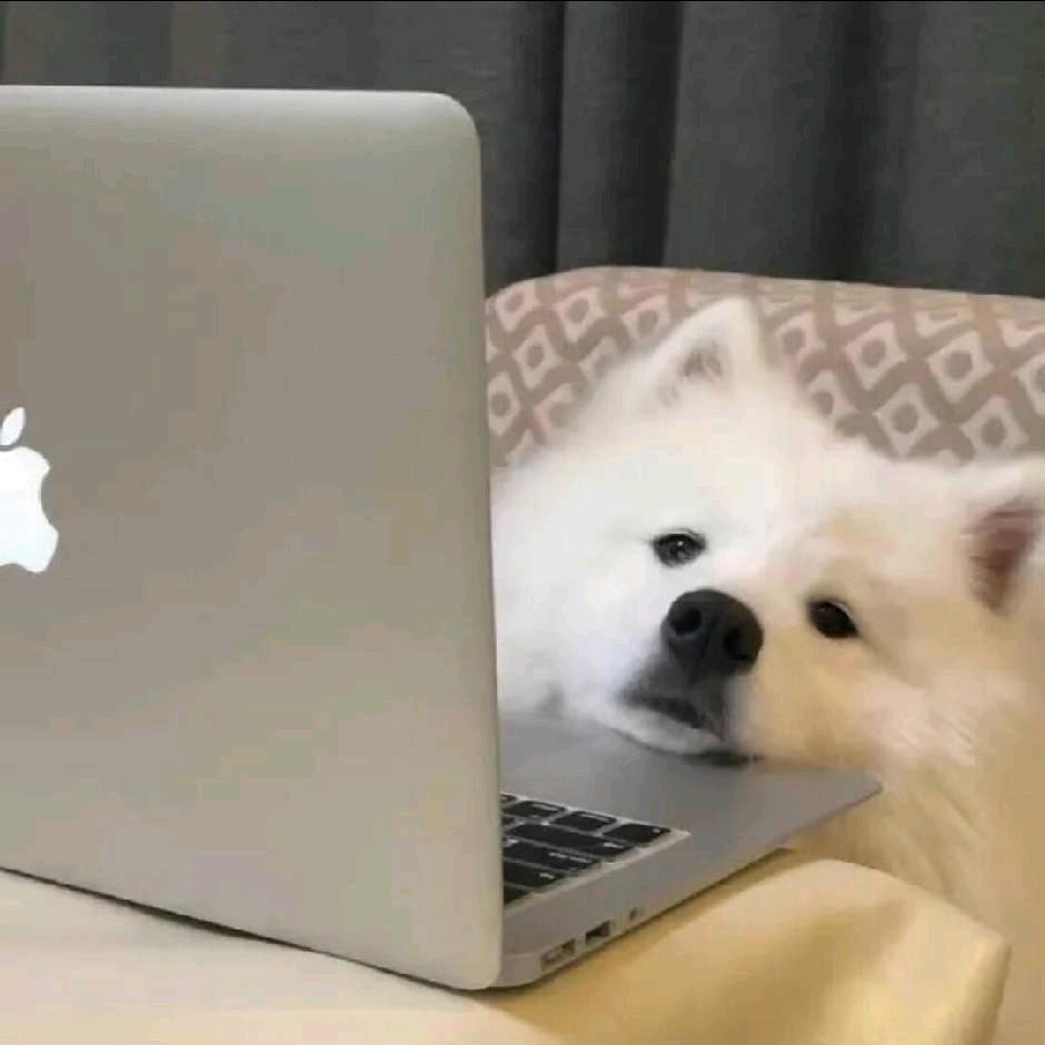 忆.