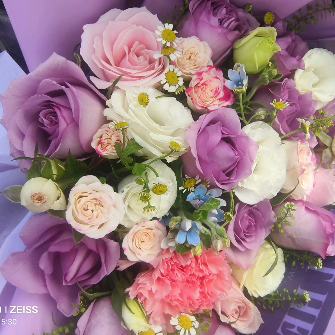 游行山河、燕子。