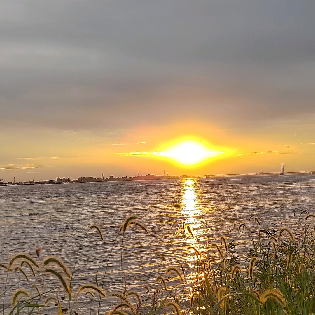 钓不到🐟就唠嗑