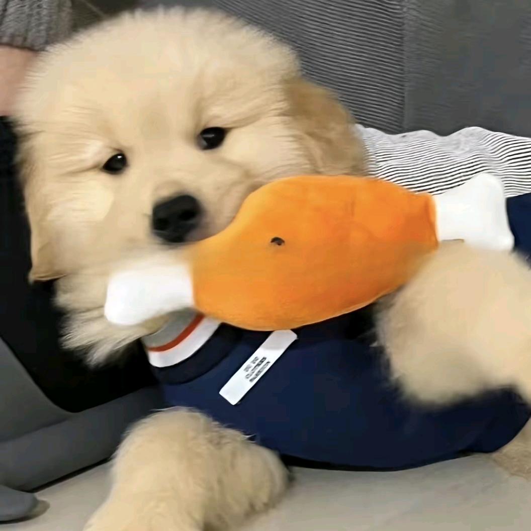 阿瞒