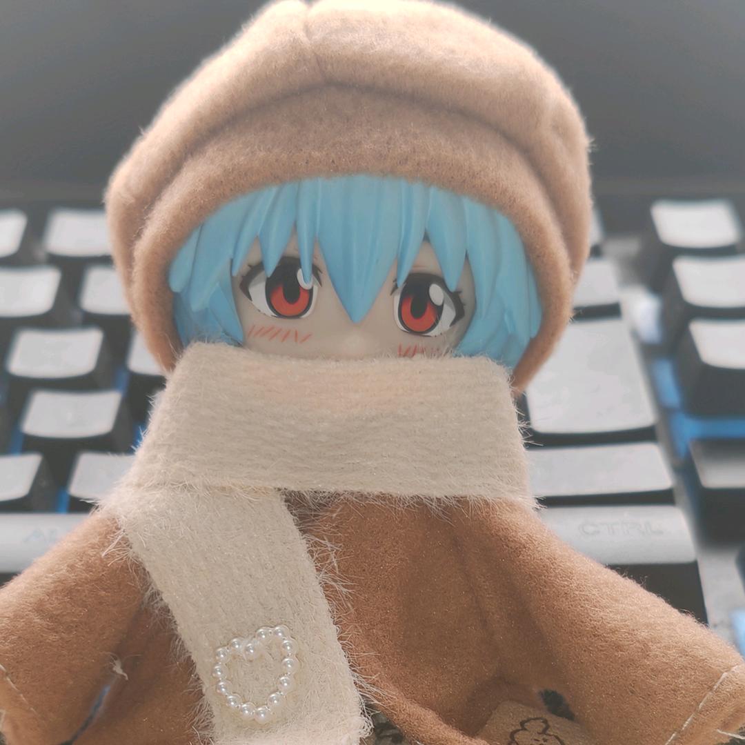 碇丽（动漫剪辑）