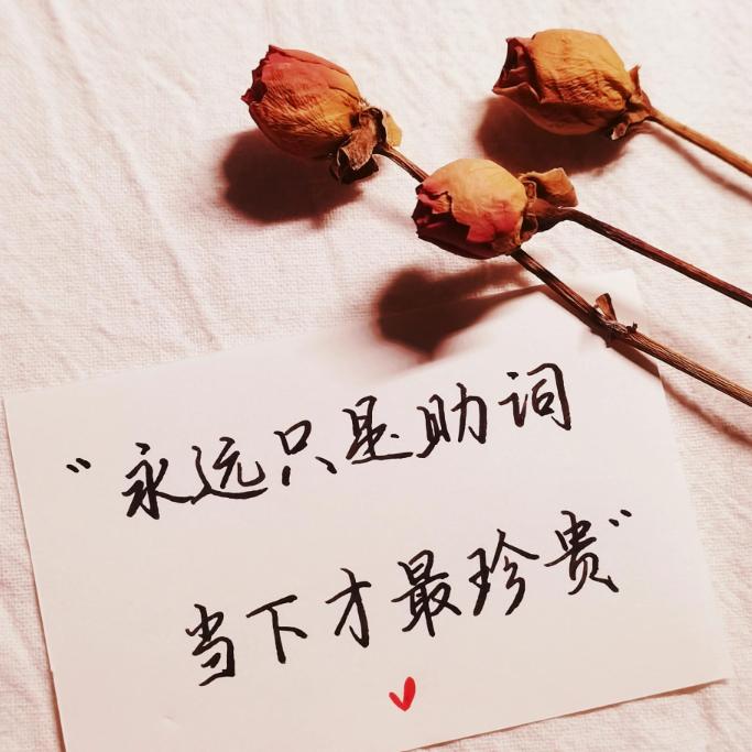 用户7203569062726