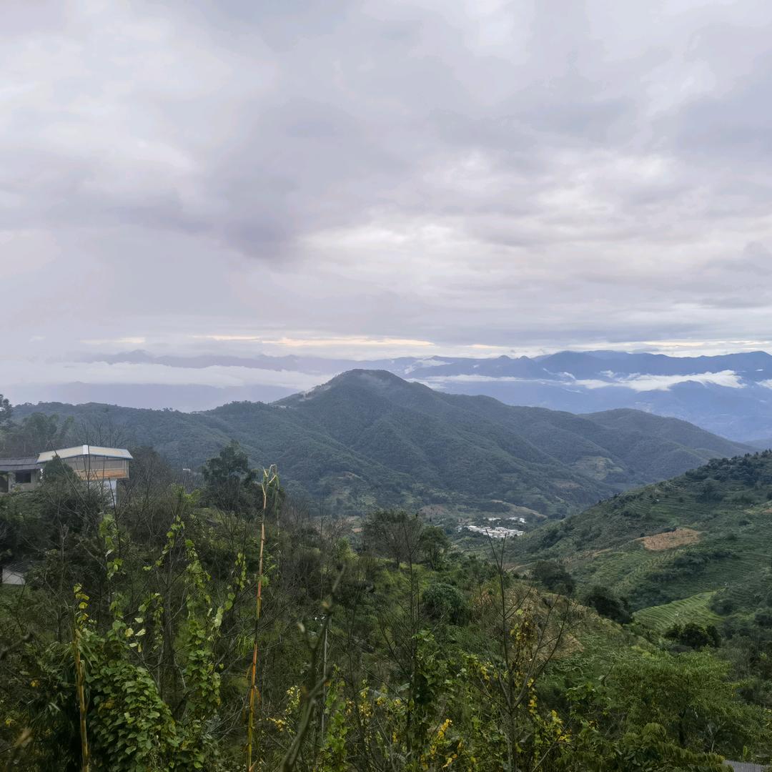 茶与灵魂