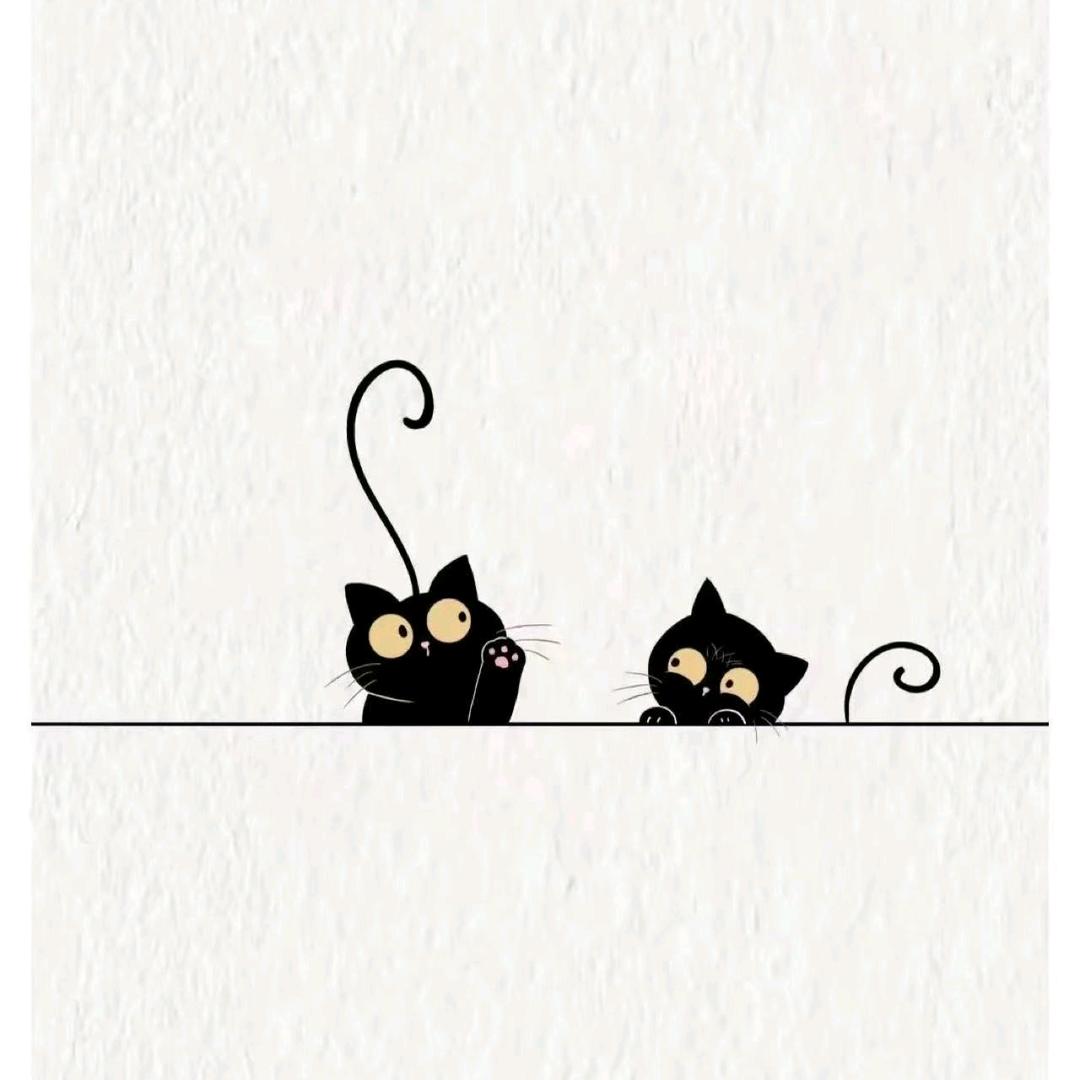 我叫小猫