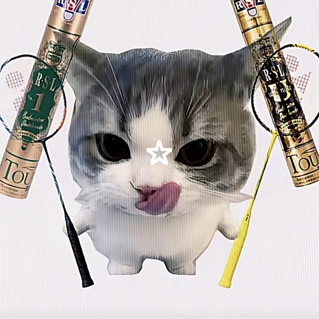 羽之飞翔