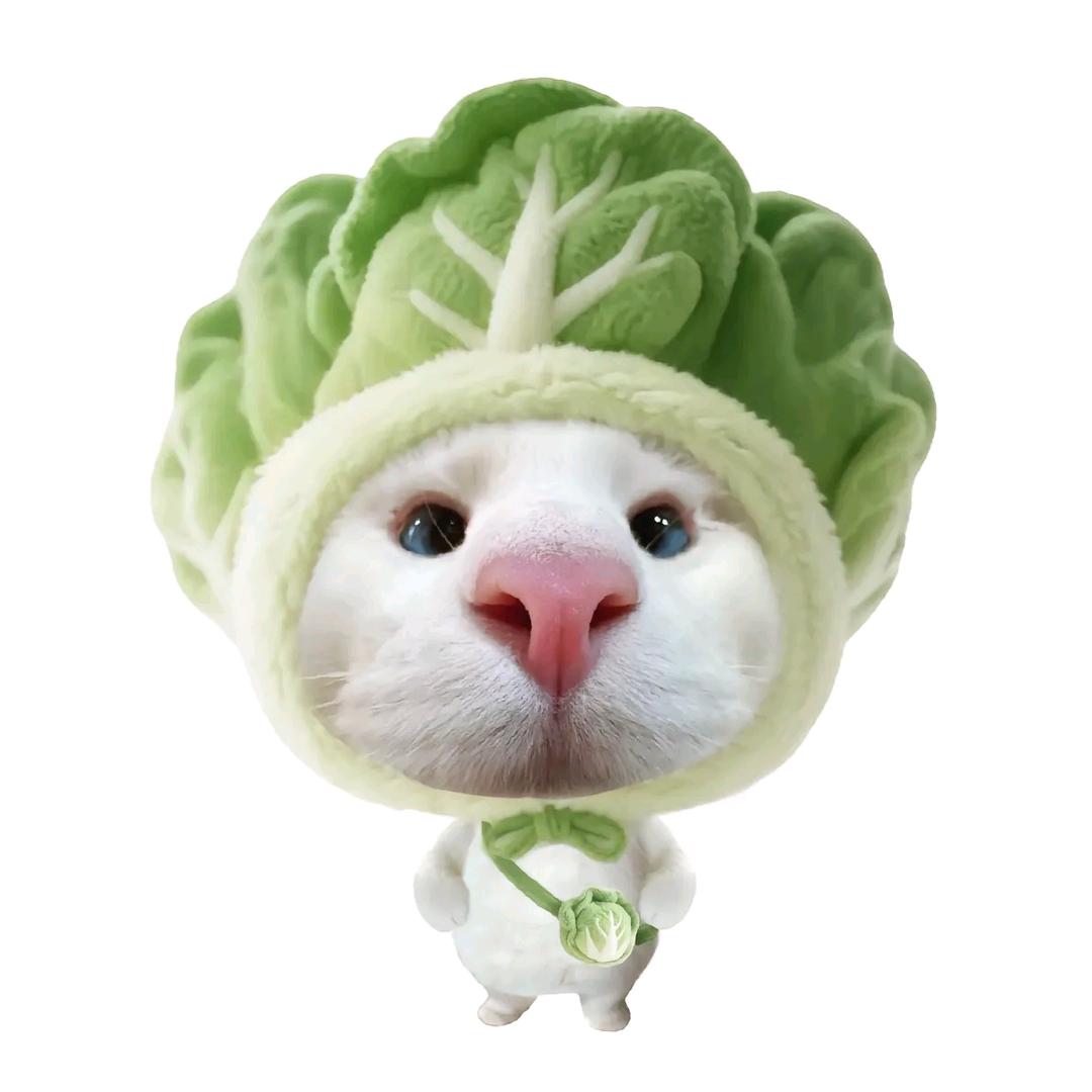 白菜儿汤头像