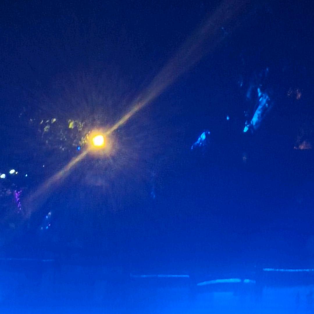 灼灼其华