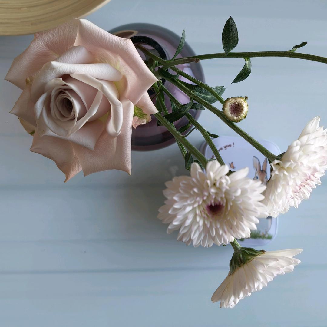 吃蒲公英的松鼠