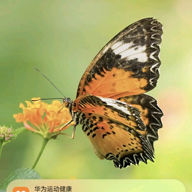 瑞品汇食品商行