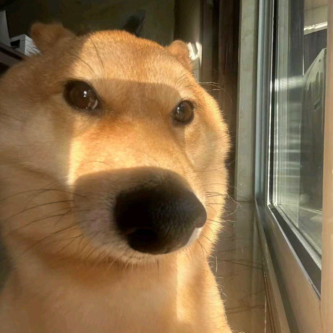 将为