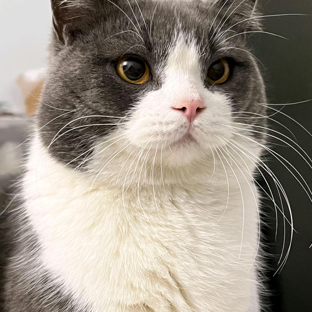 😤生气包包生气😤