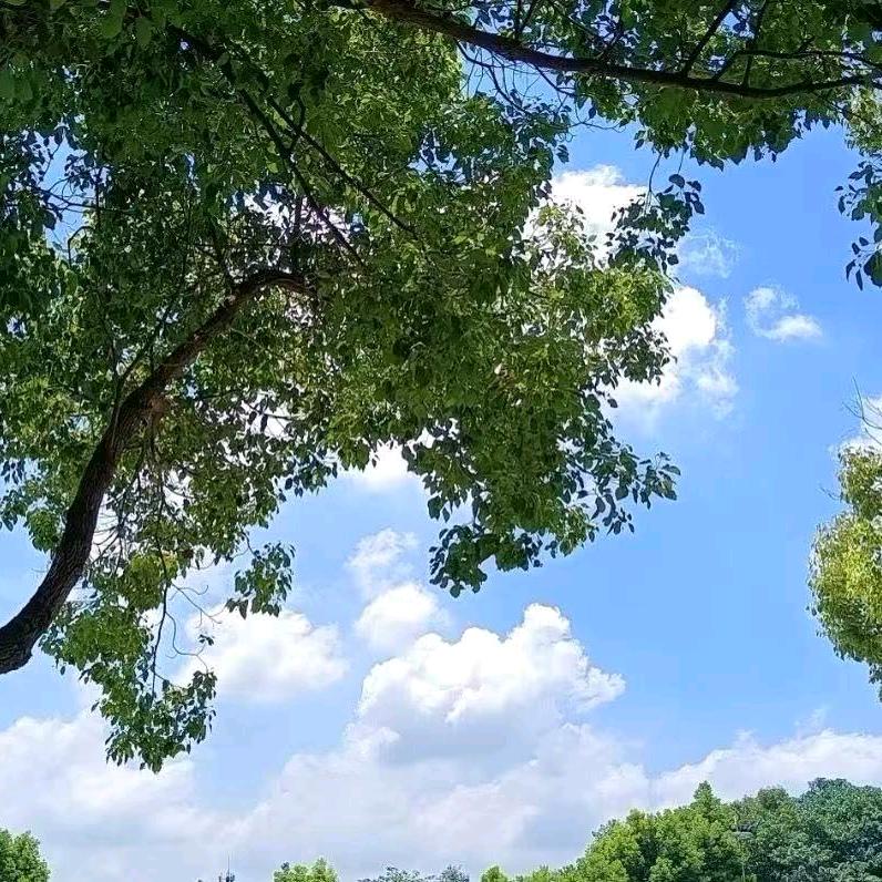 跟着导航走游遍全中国