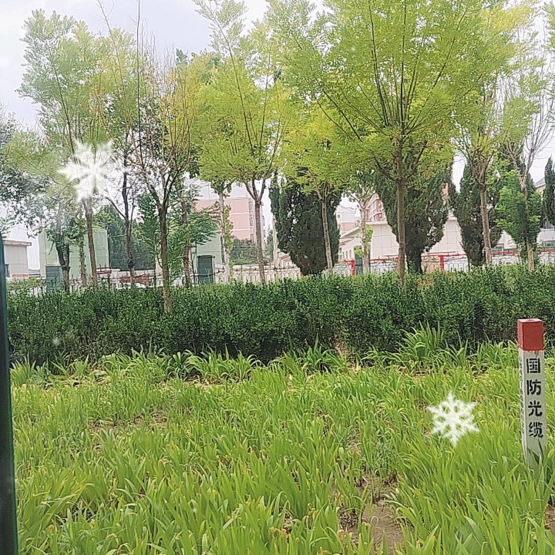 静儿