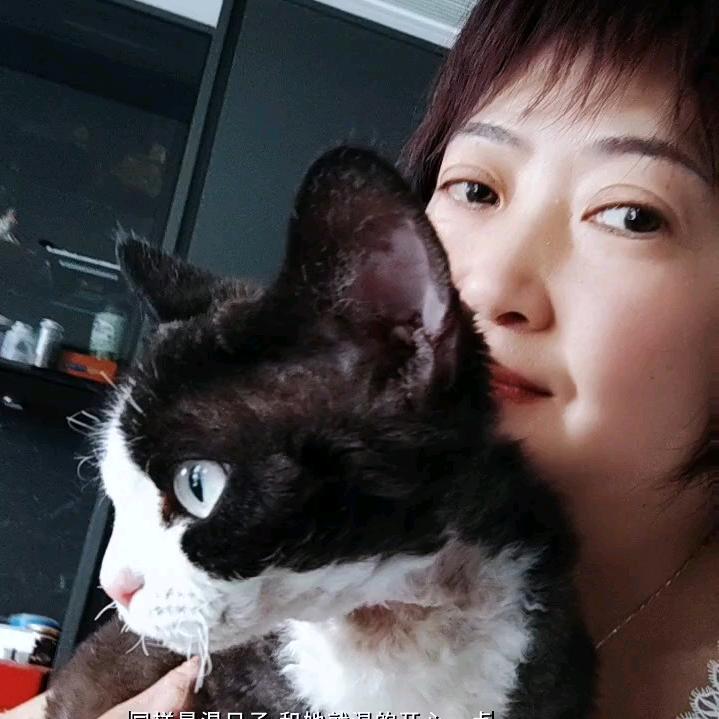 我和我的猫🐱