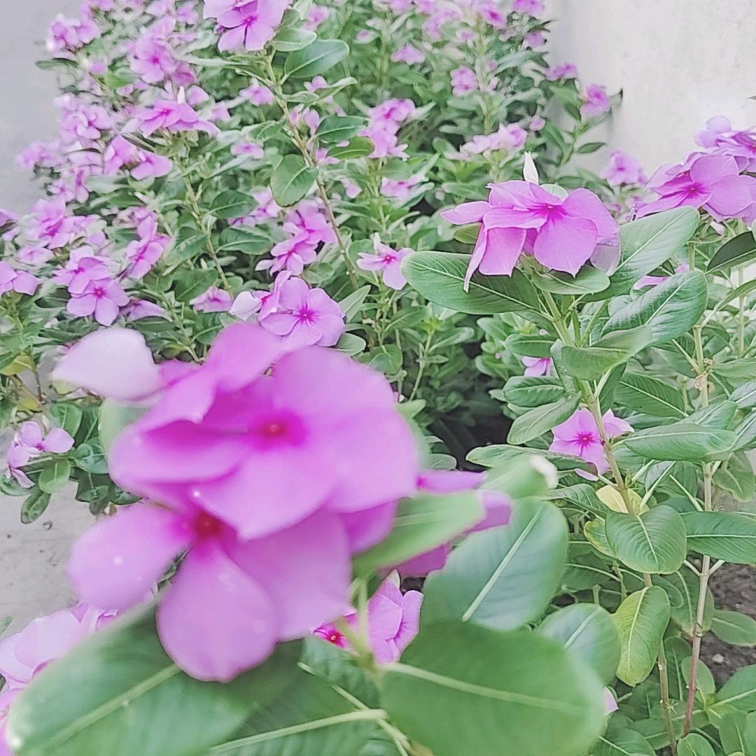 失望