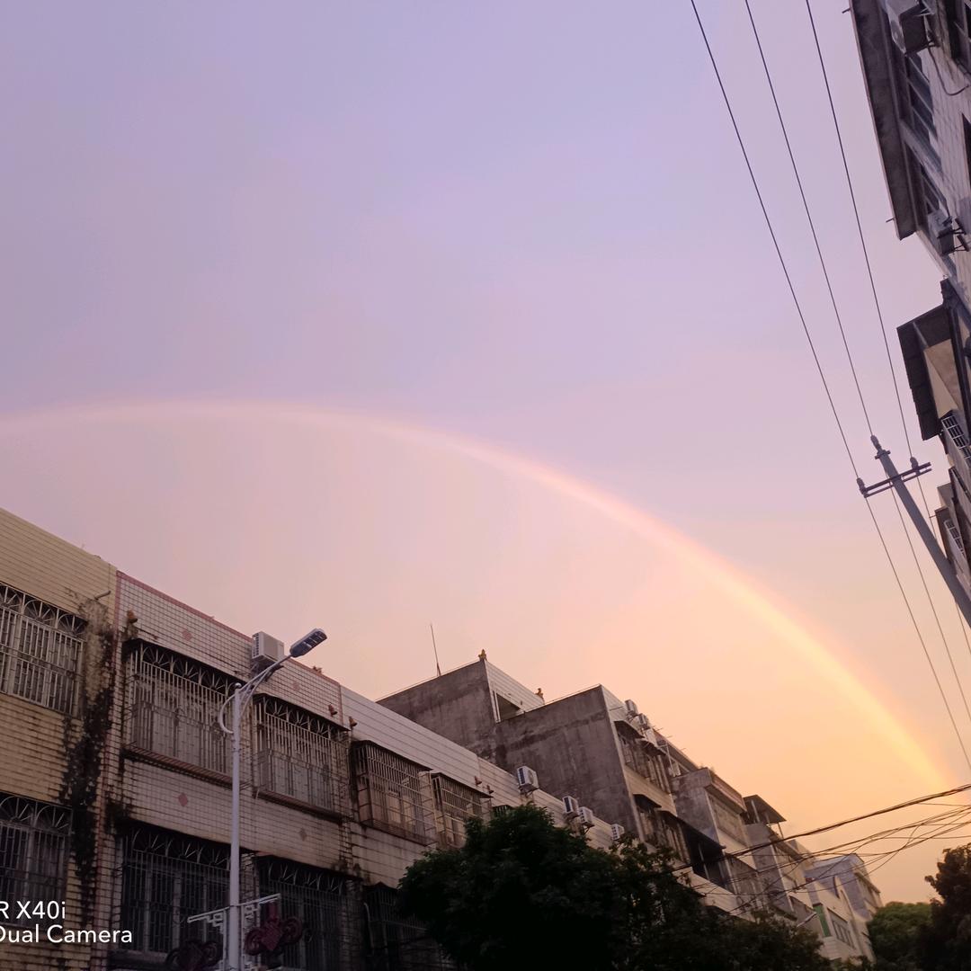 陈雨飞