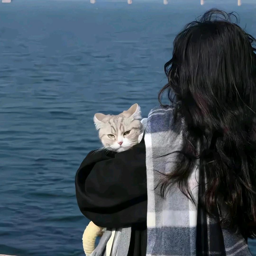 下次看海约在哪里
