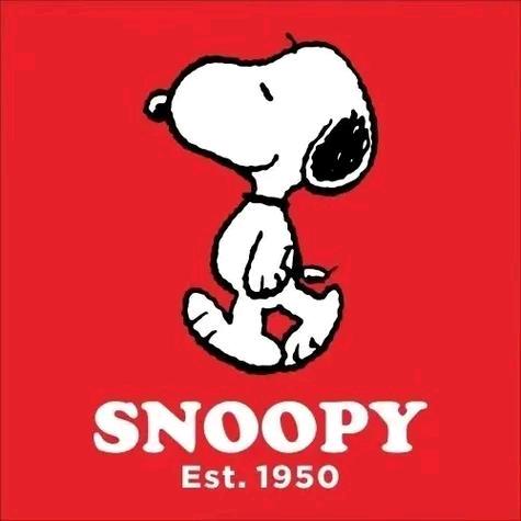 史努比Snoopy品牌童装