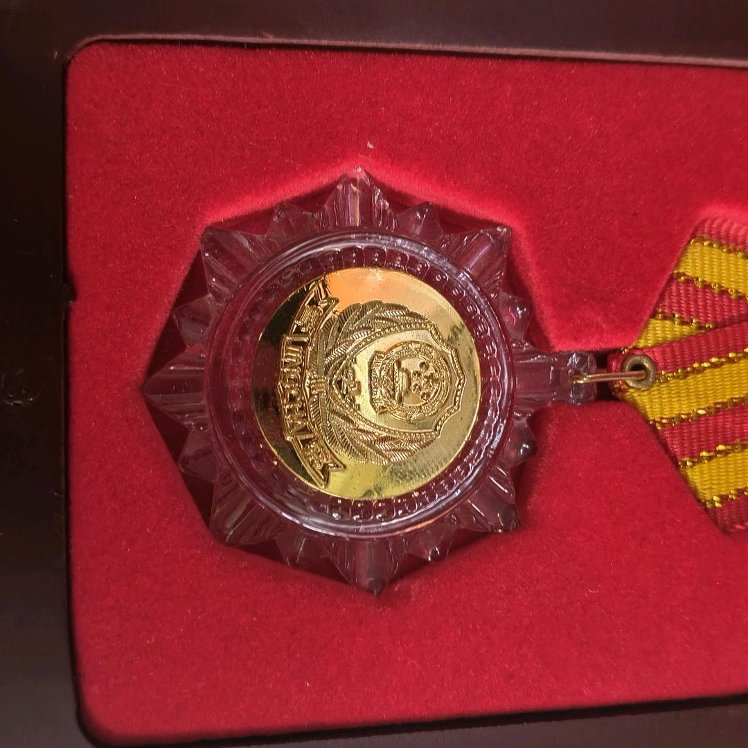 不帅别瞅我