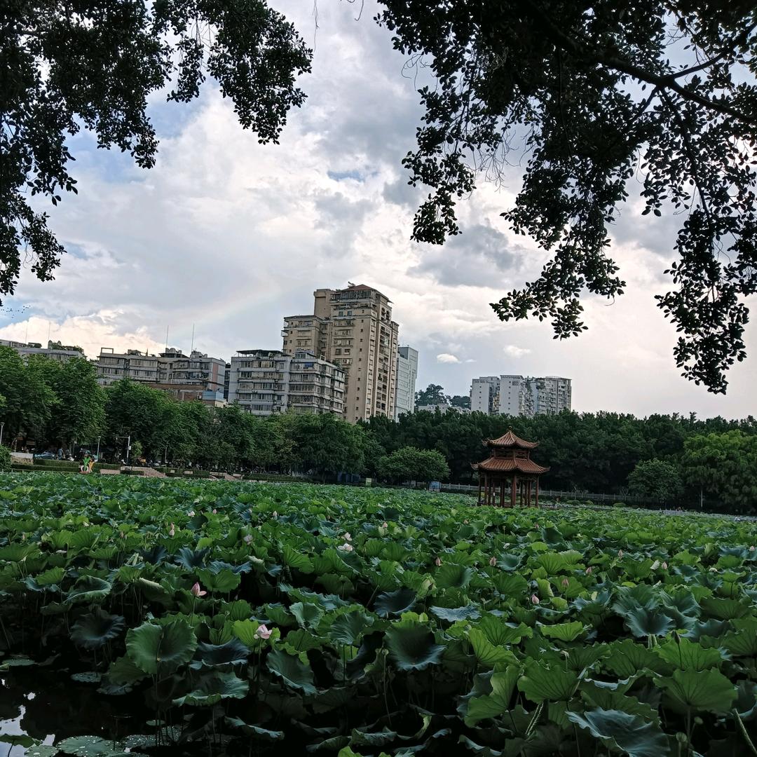 ღ᭄ꫛ👉追梦星辰👈