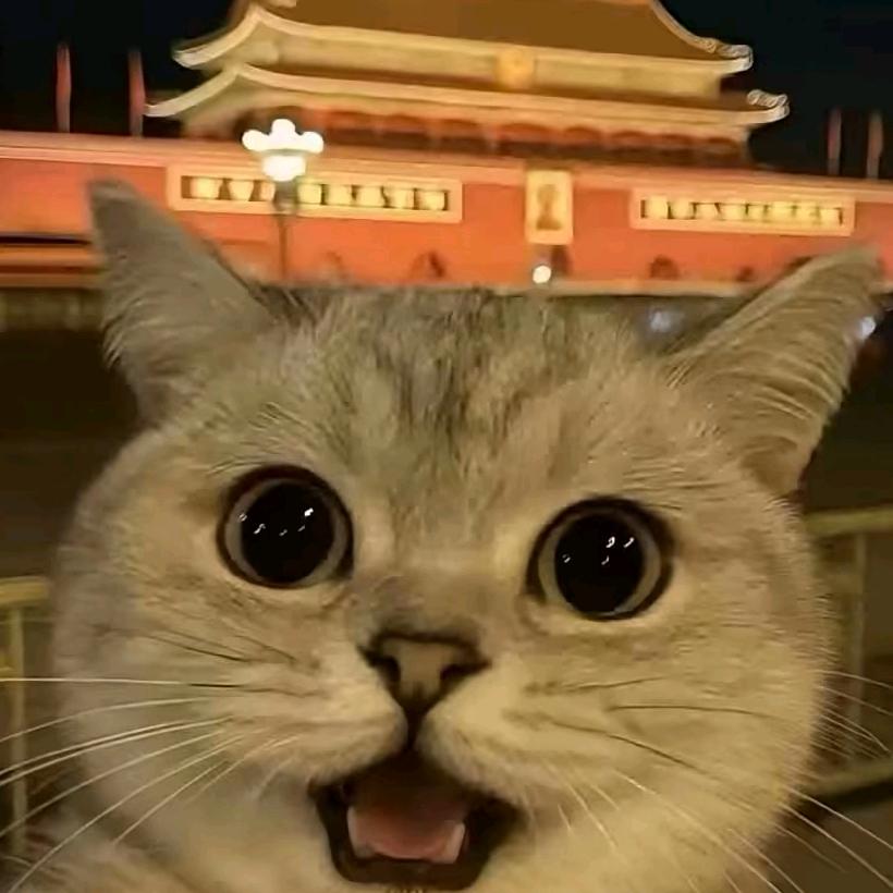 You的生活日记