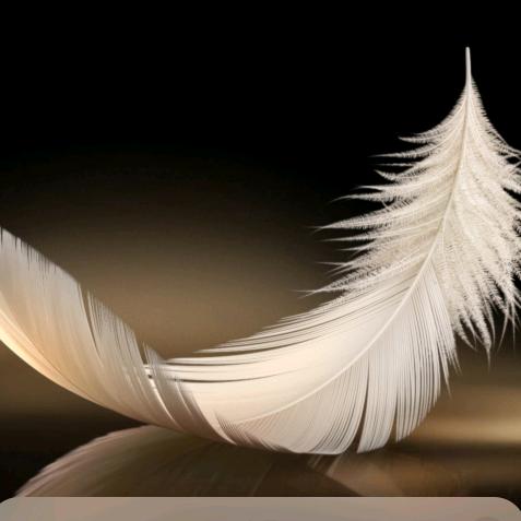 陵园路精品窗帘