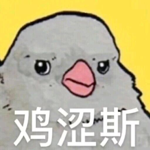 鸡师傅的精神世界