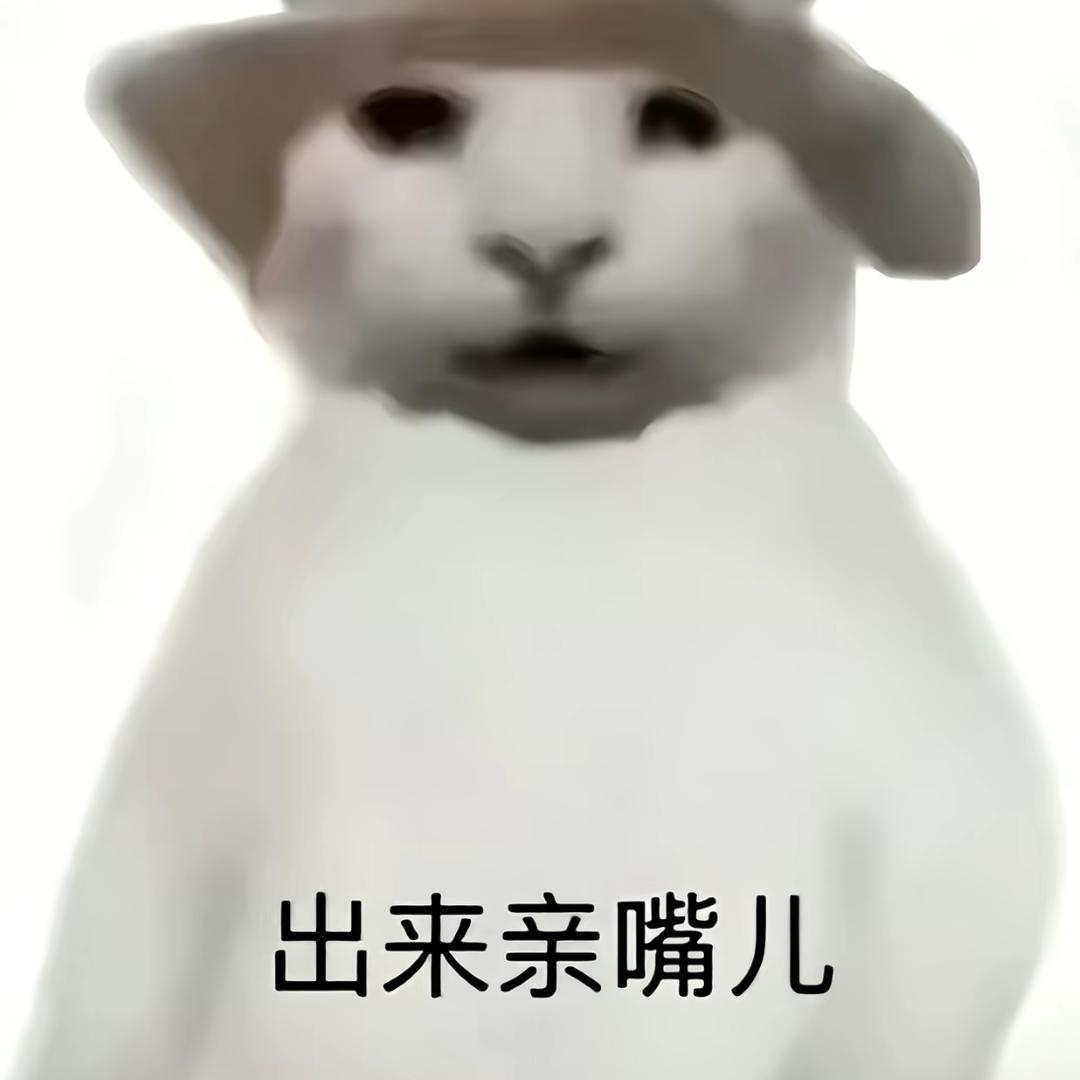 🐏（三角洲撞车）