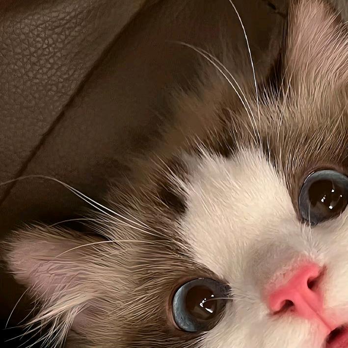 小涵有两个脑袋