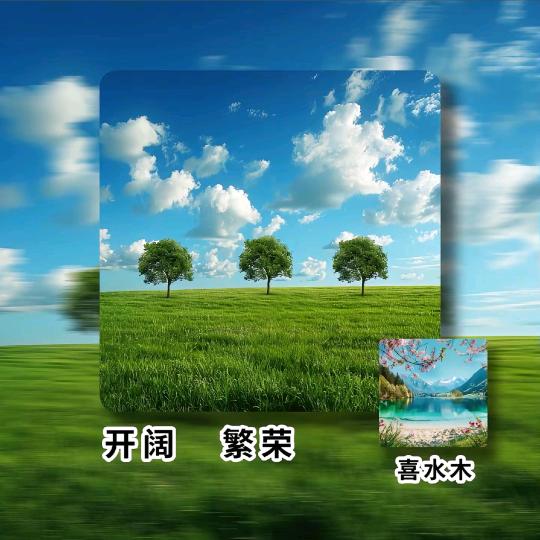 兴娇商务推广8号