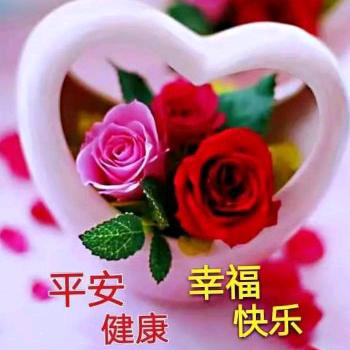 单身就是自由