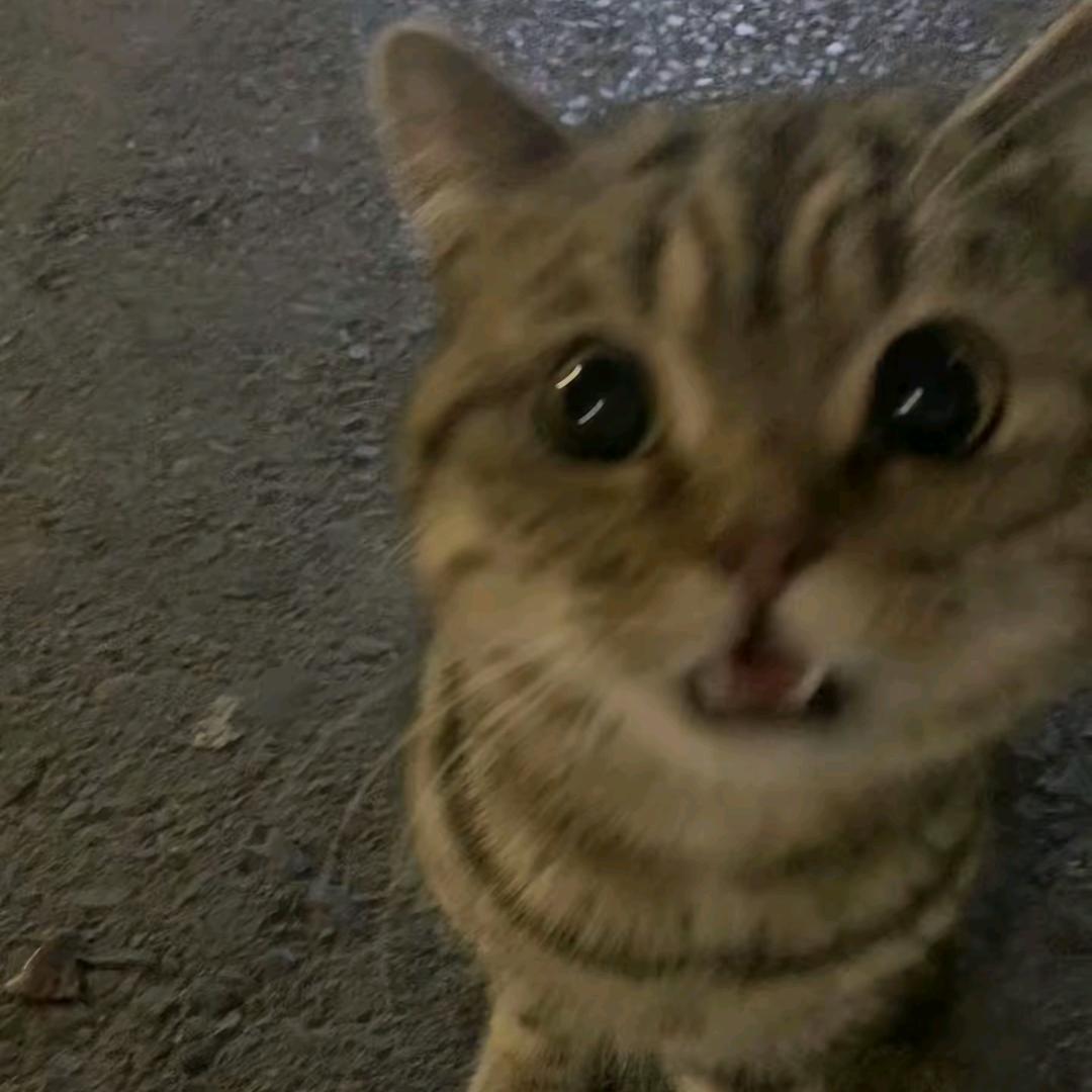 秋千