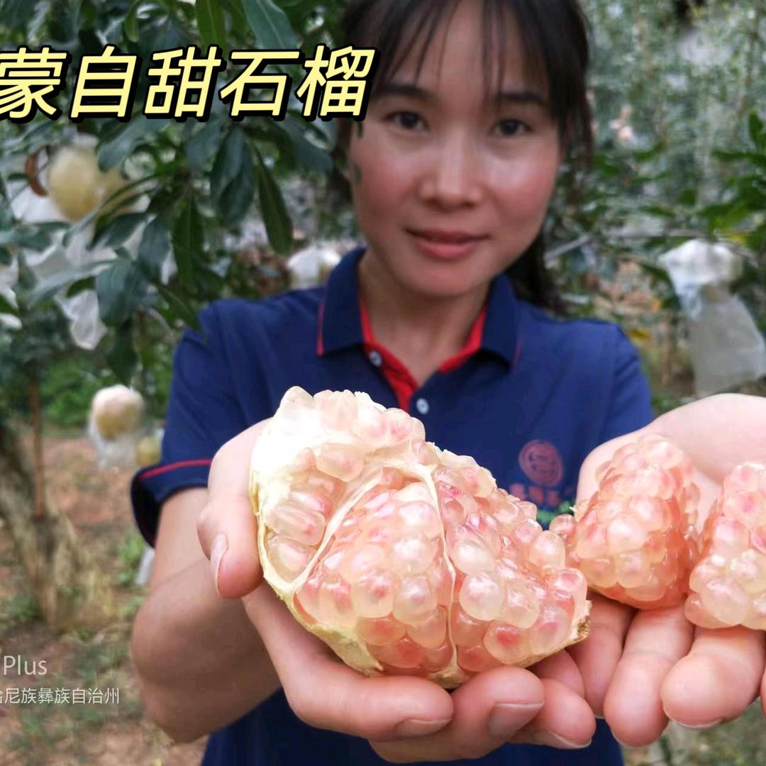 蒙自喜梅茶果（石榴每天22：00前发货）