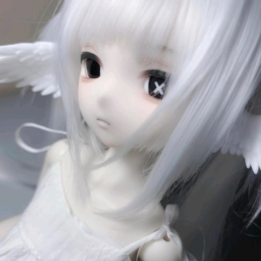 雨水打湿猫猫头